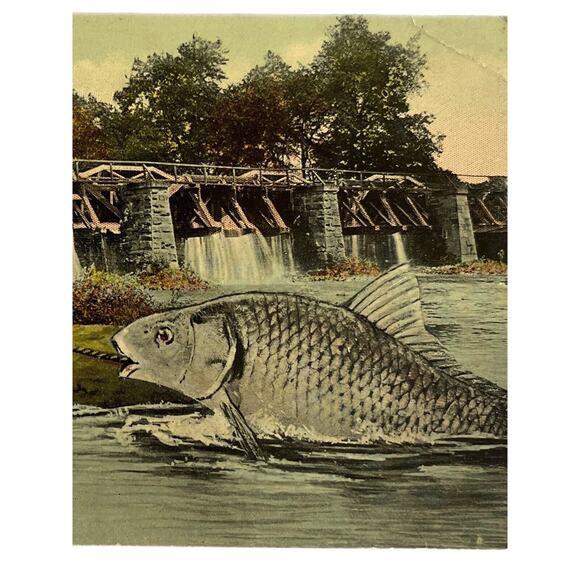 Antique 1913 Copyright Litho Ephemera Postcard Humor Gigantic Fish Midland Pub - Picture 1 of 9